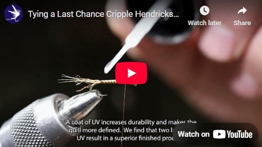 Tying a Last Chance Cripple Hendrickson Fishing Fly